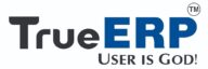 TrueERP – All-in-One ERP Software for Multi-Branch Businesses